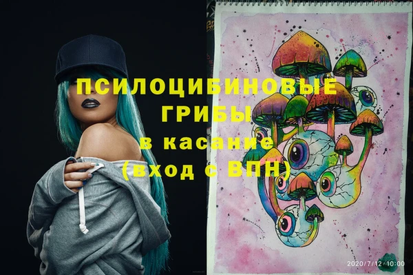 твердый Алексеевка