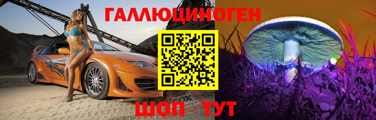 Галлюциногенные грибы прущие грибы Махачкала